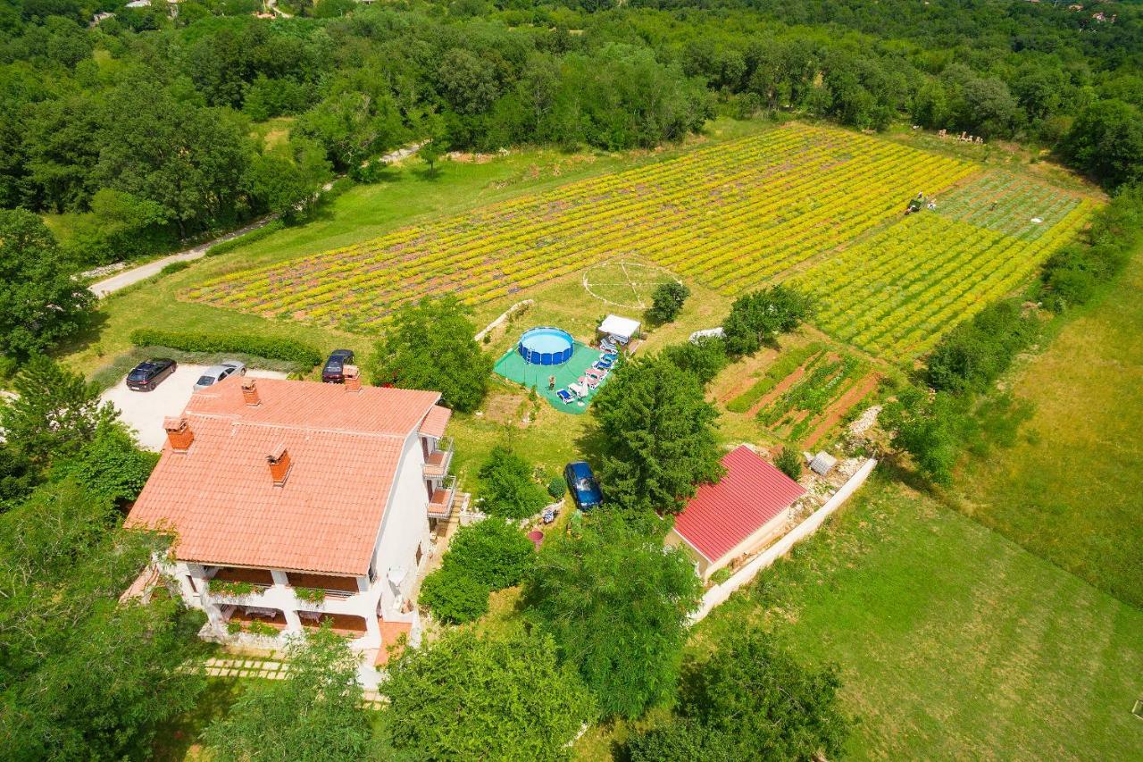 Apartments Valoda Nedeščina Dış mekan fotoğraf