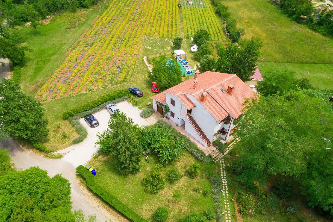 Apartments Valoda Nedeščina Dış mekan fotoğraf